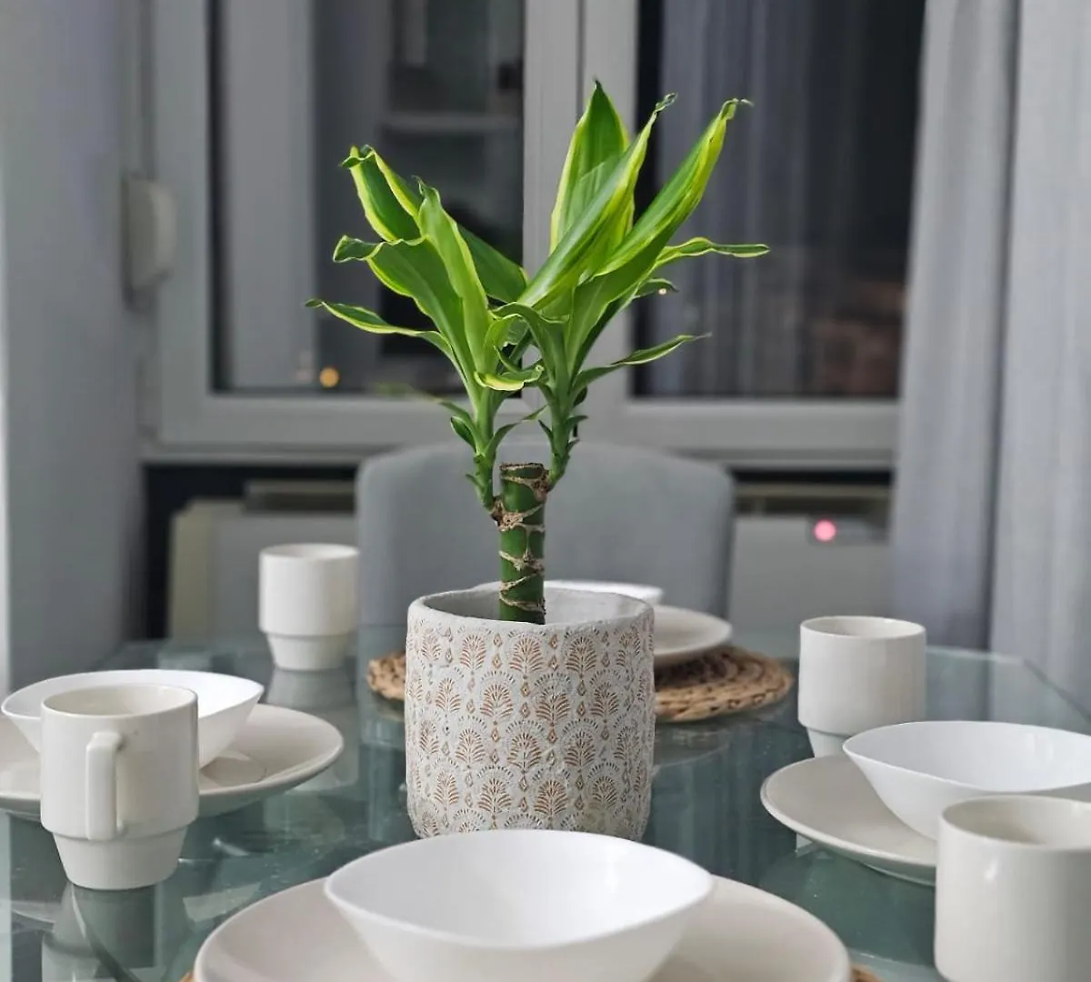 Main Apartment Blloku 1 Tirana